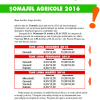 Șomaj agricole în 2016