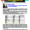 Notiziario SPI CGIL Pistoia anno VI nr 1 del gennaio 2009